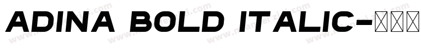 Adina Bold Italic字体转换